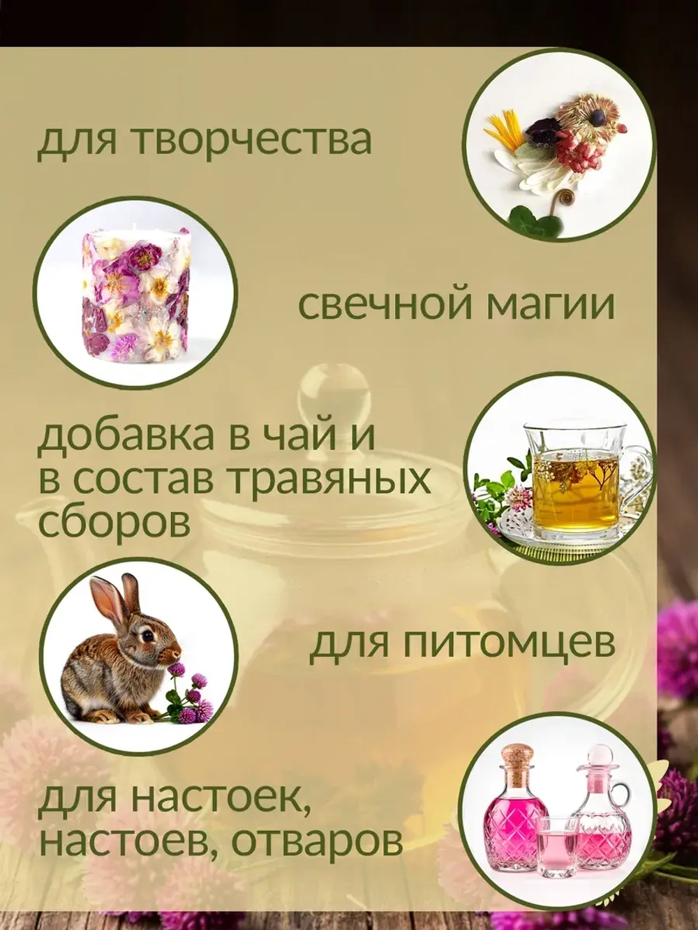 Набор сушеные травы и сухоцветы для творчества №1