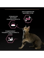 PRO PLAN (Про план) для кошек с чувствительным пищеварением с ягненком 10 кг
