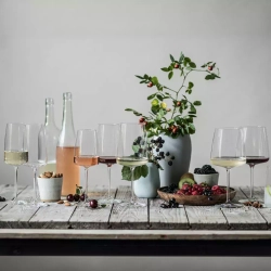 Набор бокалов для вина и шампанского Zwiesel Glass Vivid Senses