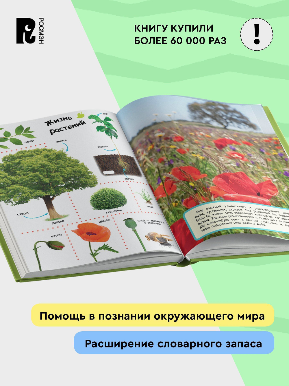 Большая энциклопедия в картинках