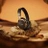 Беспроводные наушники Bose QuietComfort Ultra Headphones 2nd Gen Desert Gold