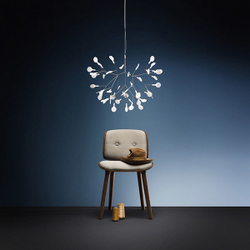 Люстра Moooi Heracleum   by Bertjan Pot ( 50 cm )