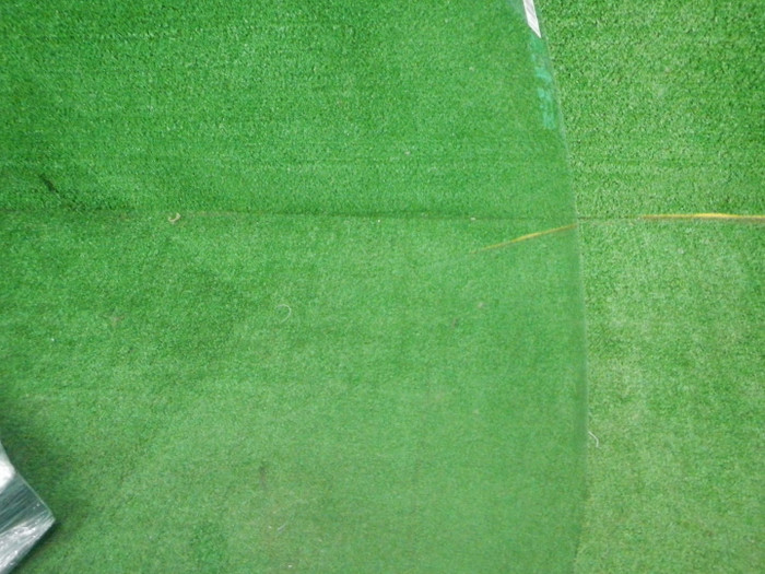 DSCN5664.JPG
