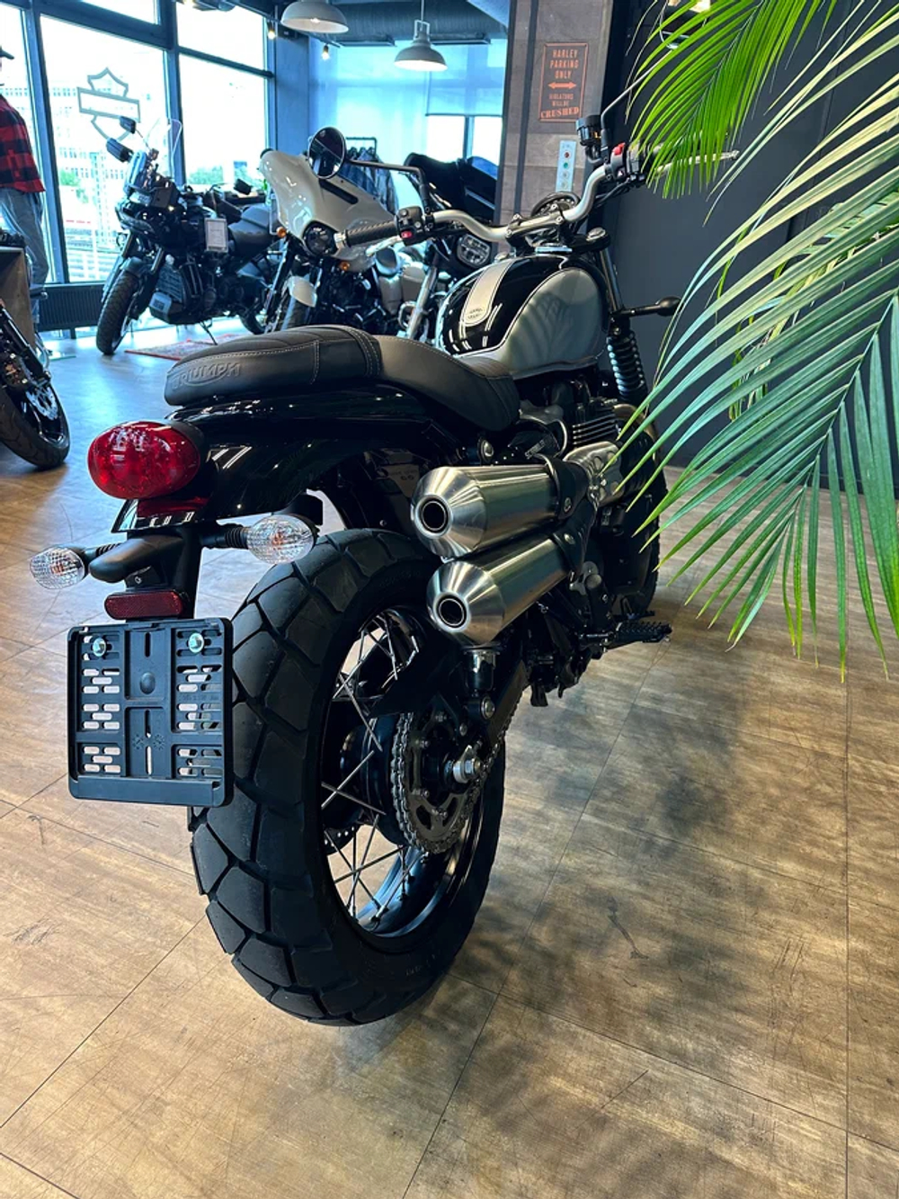 Triumph Scrambler 900, 2025