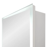 Зеркала-шкафы Reflexion Cube RF2211CB