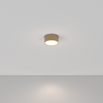 Потолочный светодиодный светильник Maytoni Zon C032CL-12W4K-RD-MG