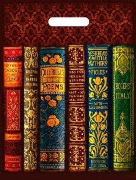 Пакеты с вырубной ручкой "Книги" 30х40см, 50мкм (50/1000шт)