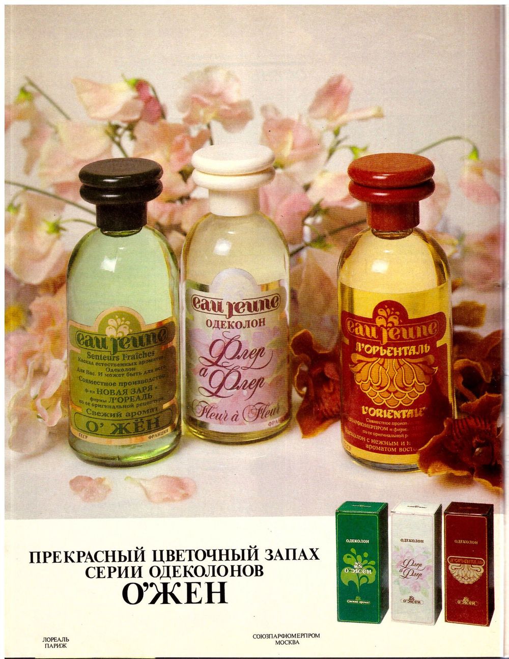 Nouvelle Etoile – Новая Заря Eau Jeune L'Orientale