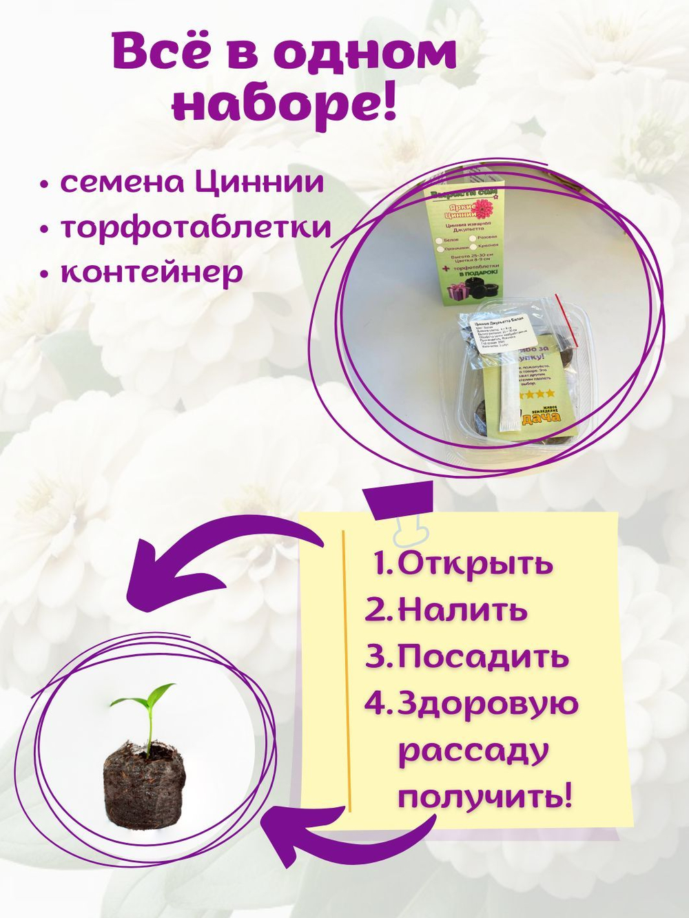 Семена Цинния низкорослая, кустовая, розовая Джульетта, семена Циния + торфяные таблетки Jiffy в подарок, 5 шт