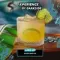 DARKSIDE XPERIENCE - Lime Up (120g)