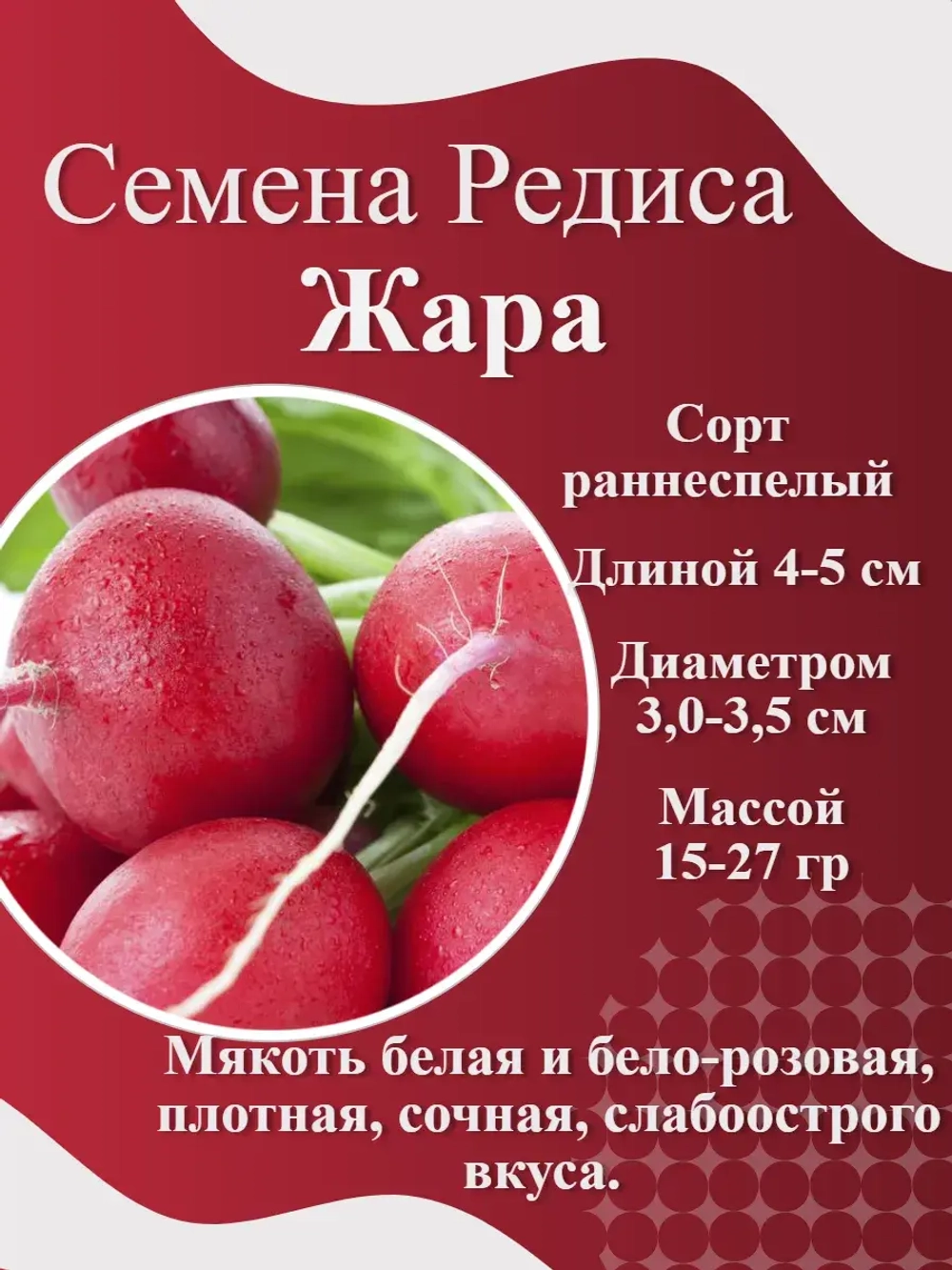 Семена Редиса