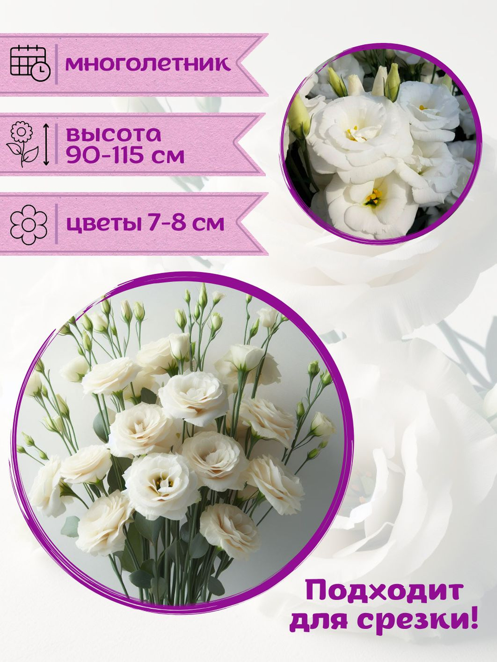 Семена Эустома белая + торфяные таблетки, 5шт, набор для выращивания