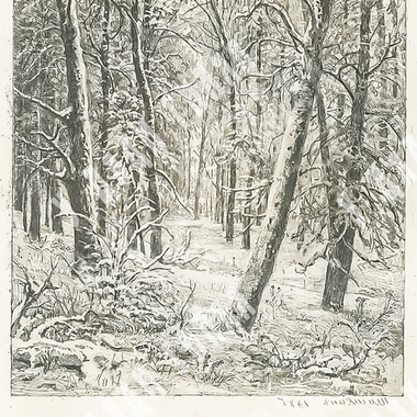 Шишкин И. И. Зима. Бумага, офорт. Россия. 1885.