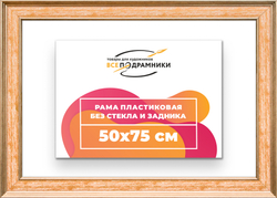 Рама 50x75 для картин и фотографий