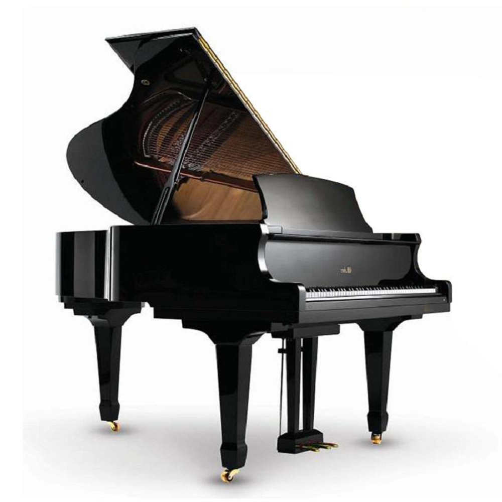 Weber Professional Grand W185