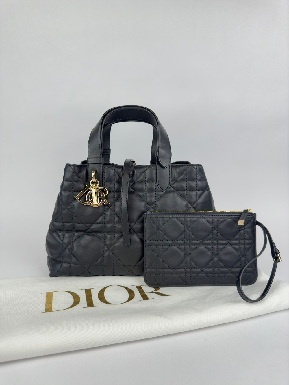 Сумка Christian Dior Toujours Bag