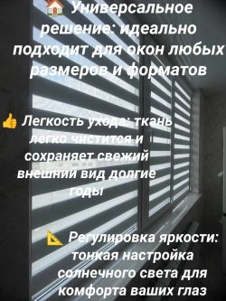Рулонные шторы День-Ночь Зебра 53х150 см