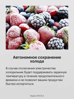 Отдельностоящий холодильник Hansa FM138.3