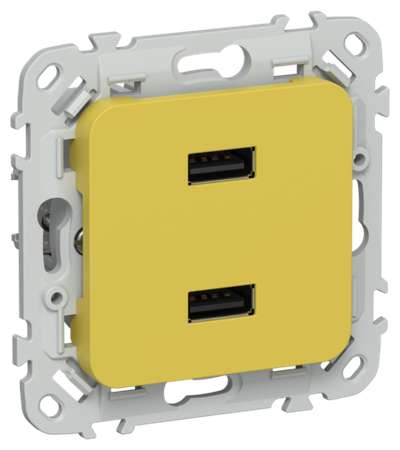 FLITE Розетка USB A+A 3,1А РЮ-2-ФлЖК желтый карри IEK