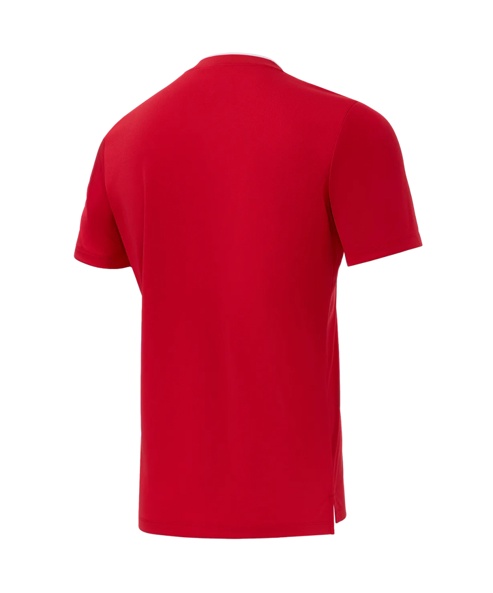Футболка игровая Jogel DIVISION PerFormDRY Union Jersey, красный R2