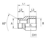 Соединение PF BSP 3/8 - BSP 3/8 L33