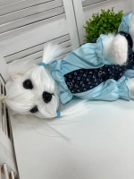 Платье для собак и кошек