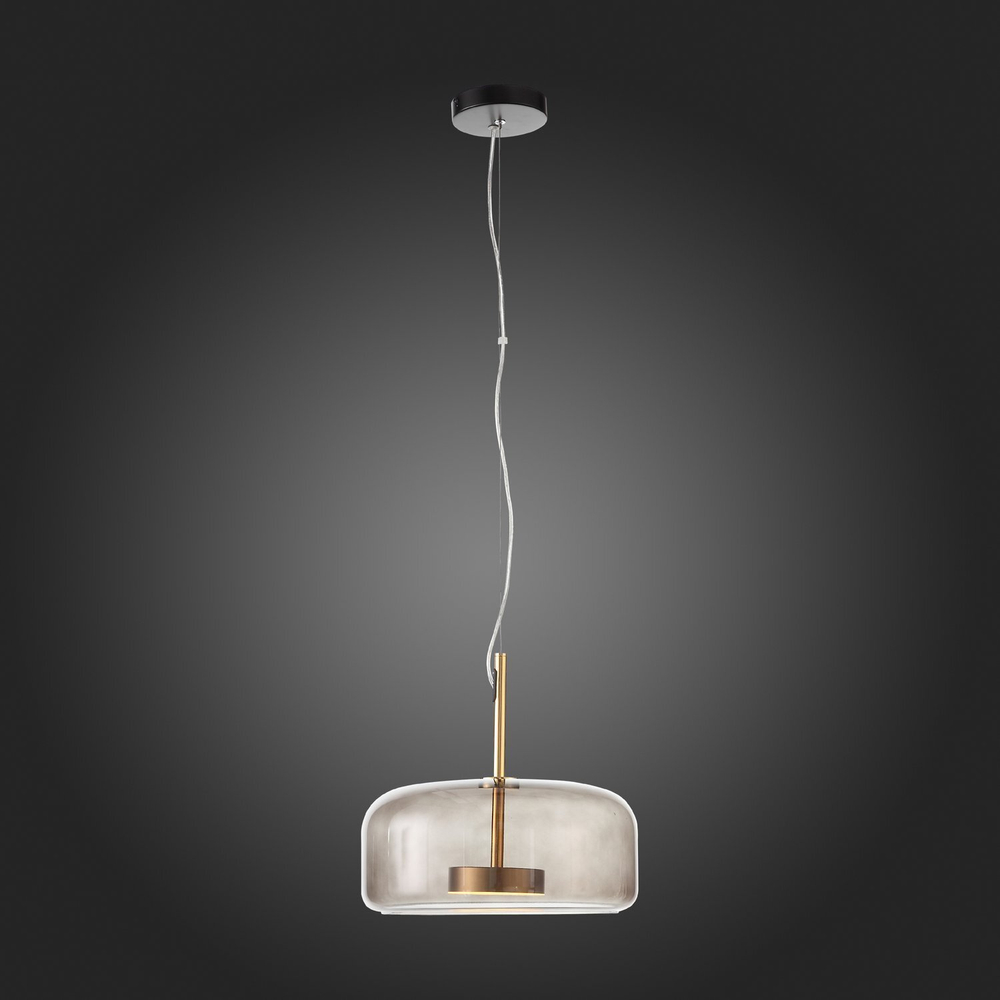 Светильник подвесной ST Luce Palochino SL1053.243.01