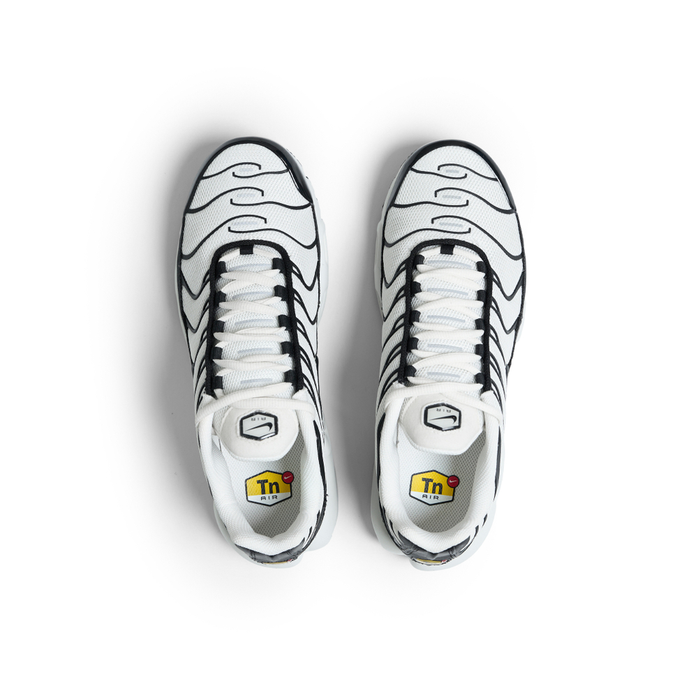 Кроссовки Nike Air Max Plus "Panda"