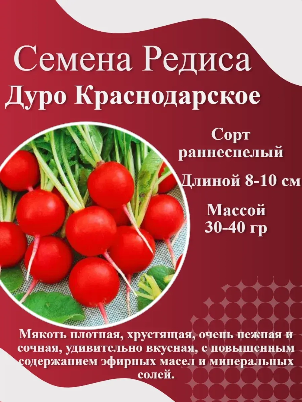 Семена Редиса