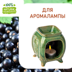 Смородина чёрная, отдушка для свечей и мыла