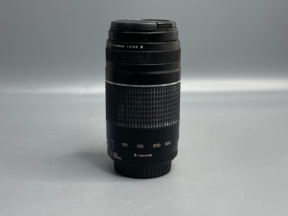 Canon EF 70-300mm F4-5.6 III