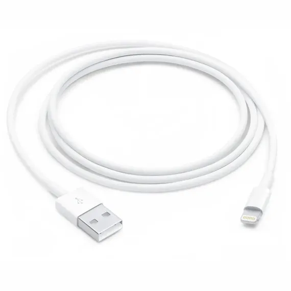 Зарядный кабель Apple USB - Lightning 1m Original