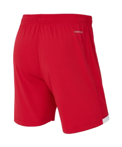 Шорты игровые Jogel DIVISION PerFormDRY Union Shorts, красный R2