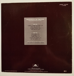 Винтажная виниловая пластинка LP Saga In Transit (Germany 1982)