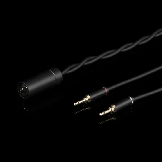 Final Audio DX6000 Black Silver