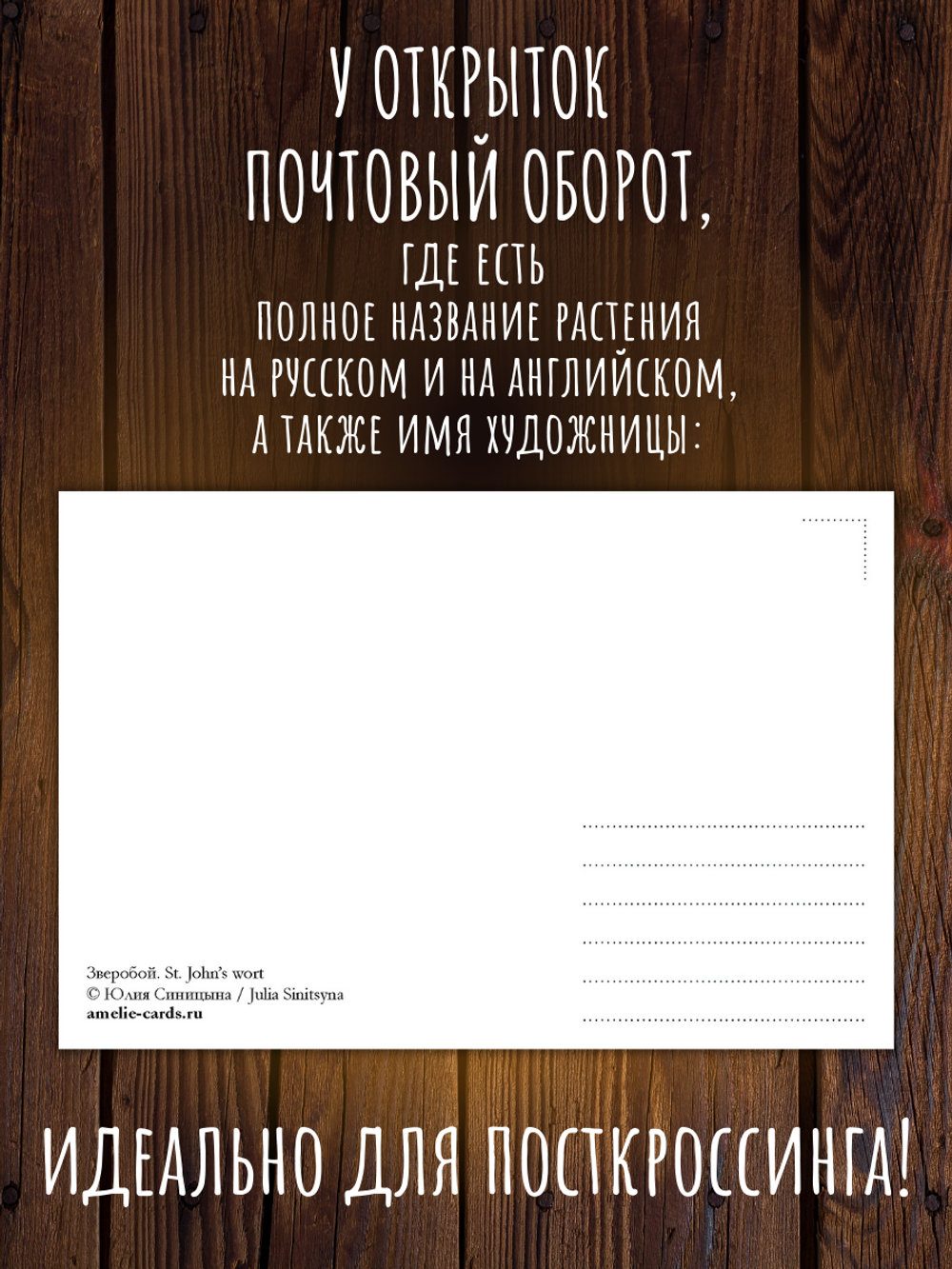 Травник. 9 ботанических открыток