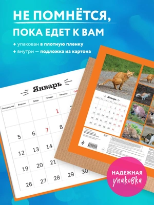 Все кошки делают это. Календарь настенный на 2026 год (300х300)