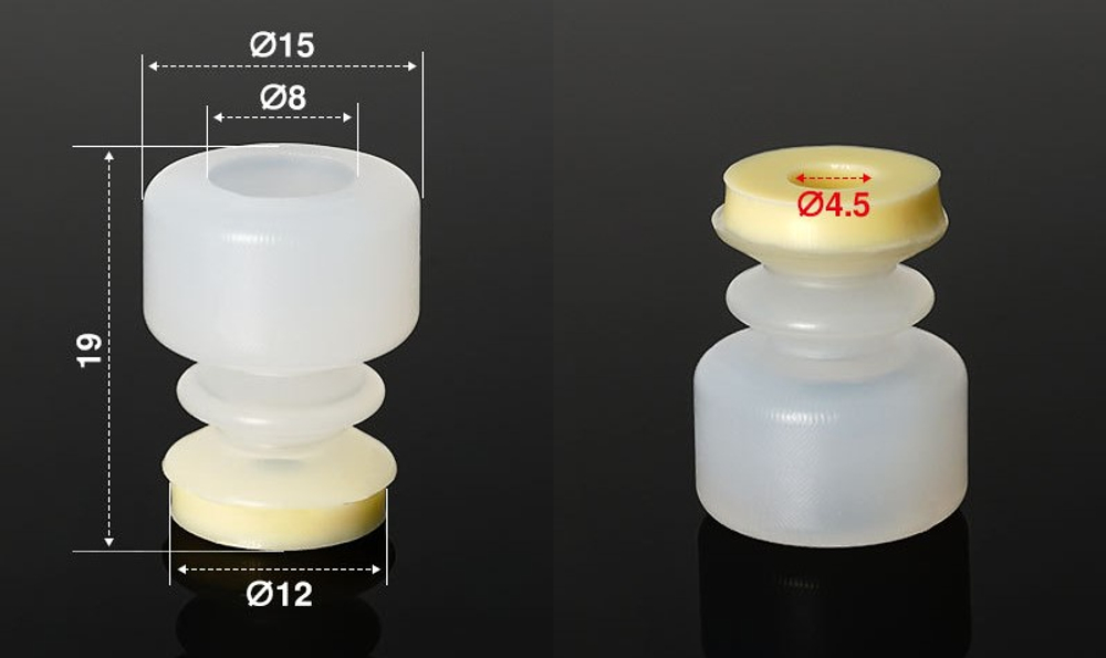 BHDM-12