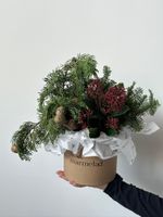Коробка из хвои и скиммии