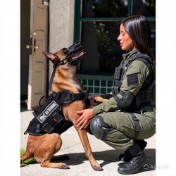 Шлейка тактическая K9 - INDUSTRIES