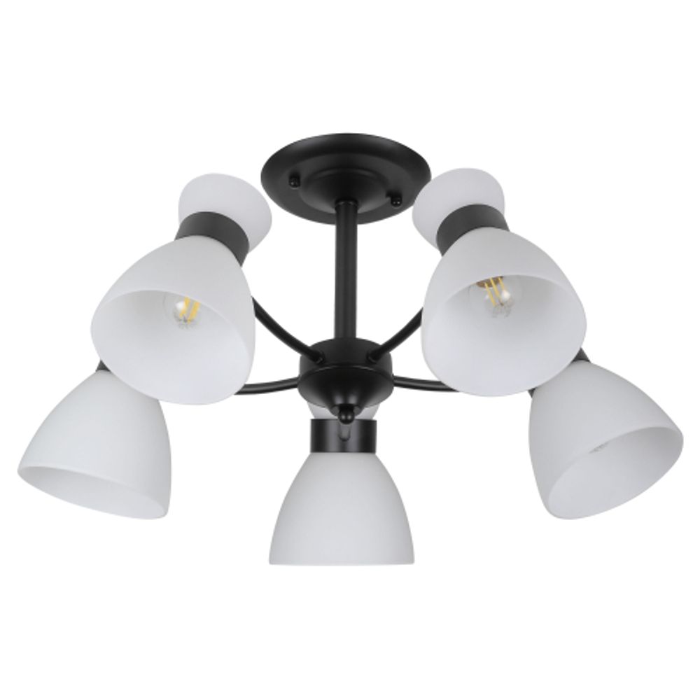Люстра Rivoli Aemilia 9185-305 5хЕ27 60 Вт модерн | Rivoli