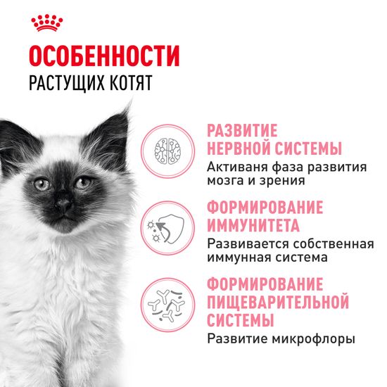 Royal Canin Kitten для котят с 4 до 12 месяцев