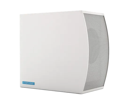 CVGAUDIO SUBone model C-8W/CR/T пассивный трансляционный сабвуфер