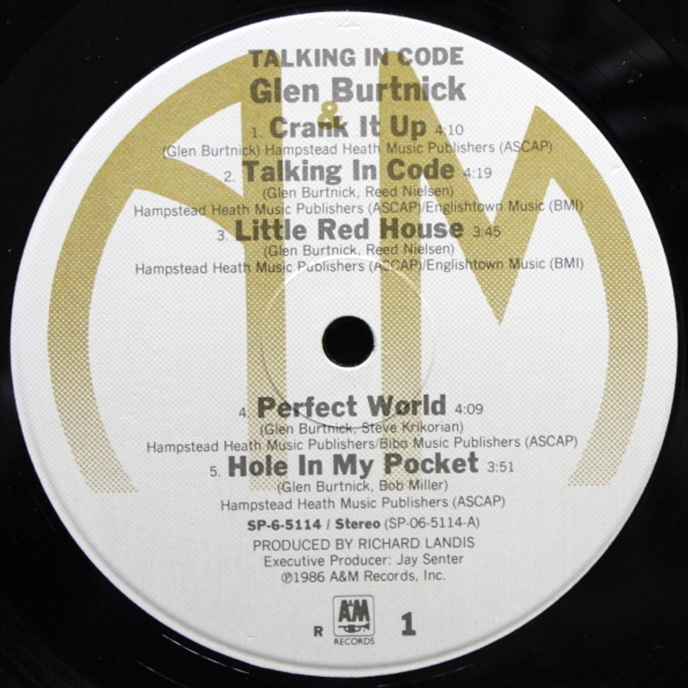 Glen Burtnick / Talking In Code (LP)