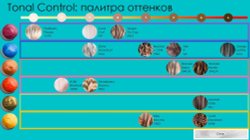 Matrix Tonal Control Гелевый Тонер 8P 90 мл