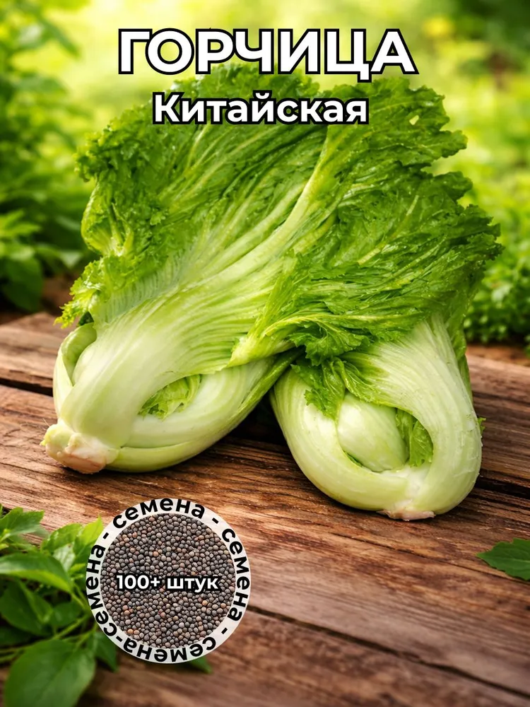 Китайская горчица семена 100+ штук