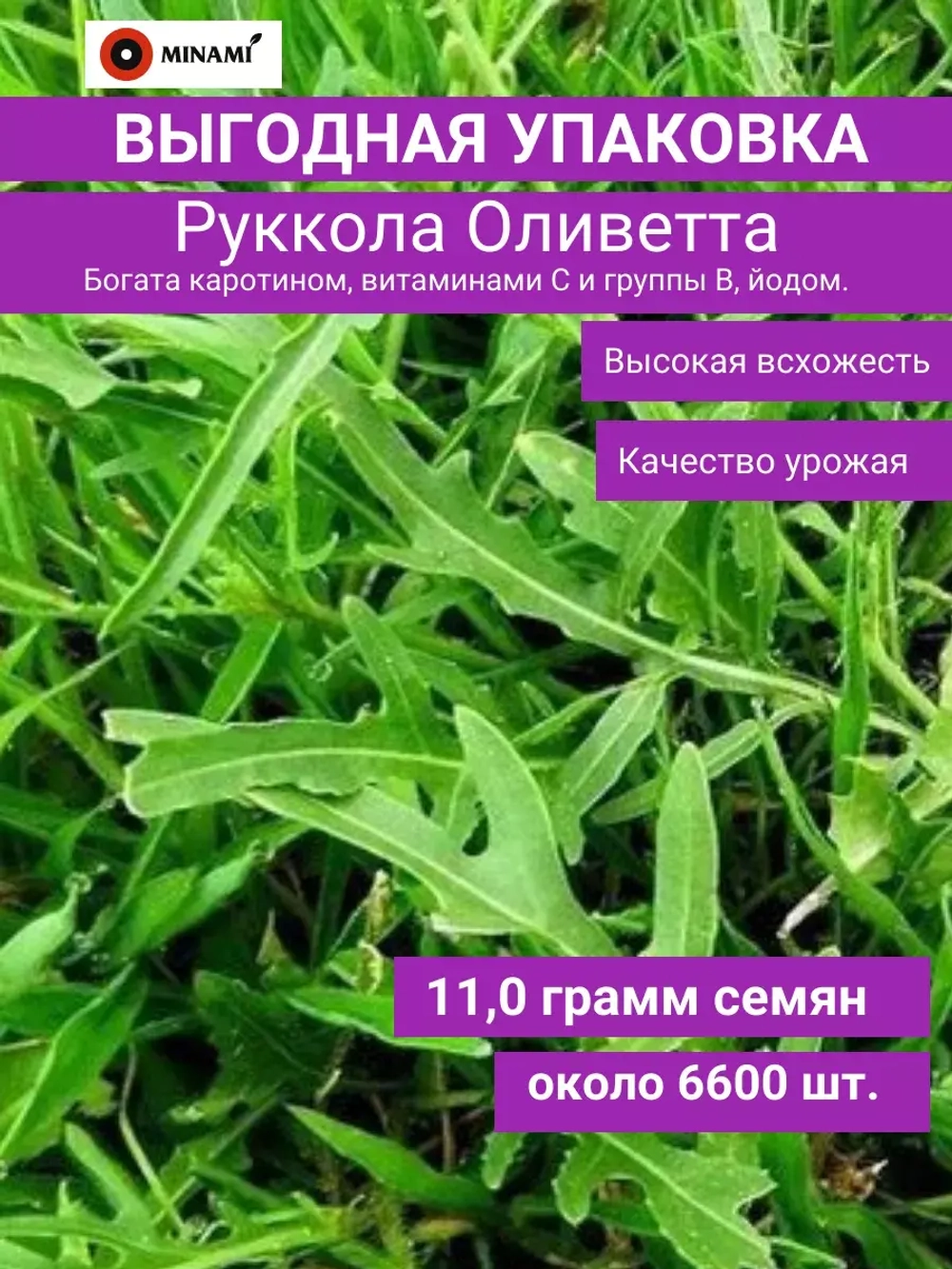 Индау руккола Оливетта Двурядник 11гр.