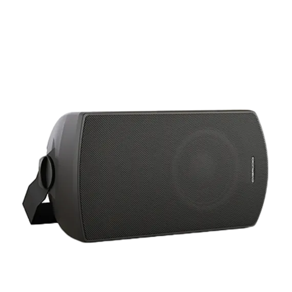 CVGAUDIO RF616TBL настенная акустическая система