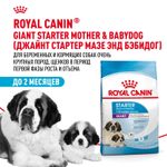 Royal Canin Giant Starter Mother & Babydog Джайнт Стартер Мазе энд Бебидог Корм для щенков гигантских пород в период первой фазы и отъема 4кг