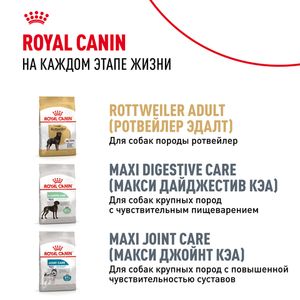 Сухой корм Royal Canin Rottweiler Puppy для щенков породы Ротвейлер до 18 месяцев